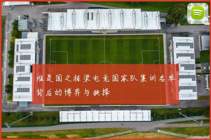 谁是国之栋梁电竞国家队集训名单背后的博弈与抉择